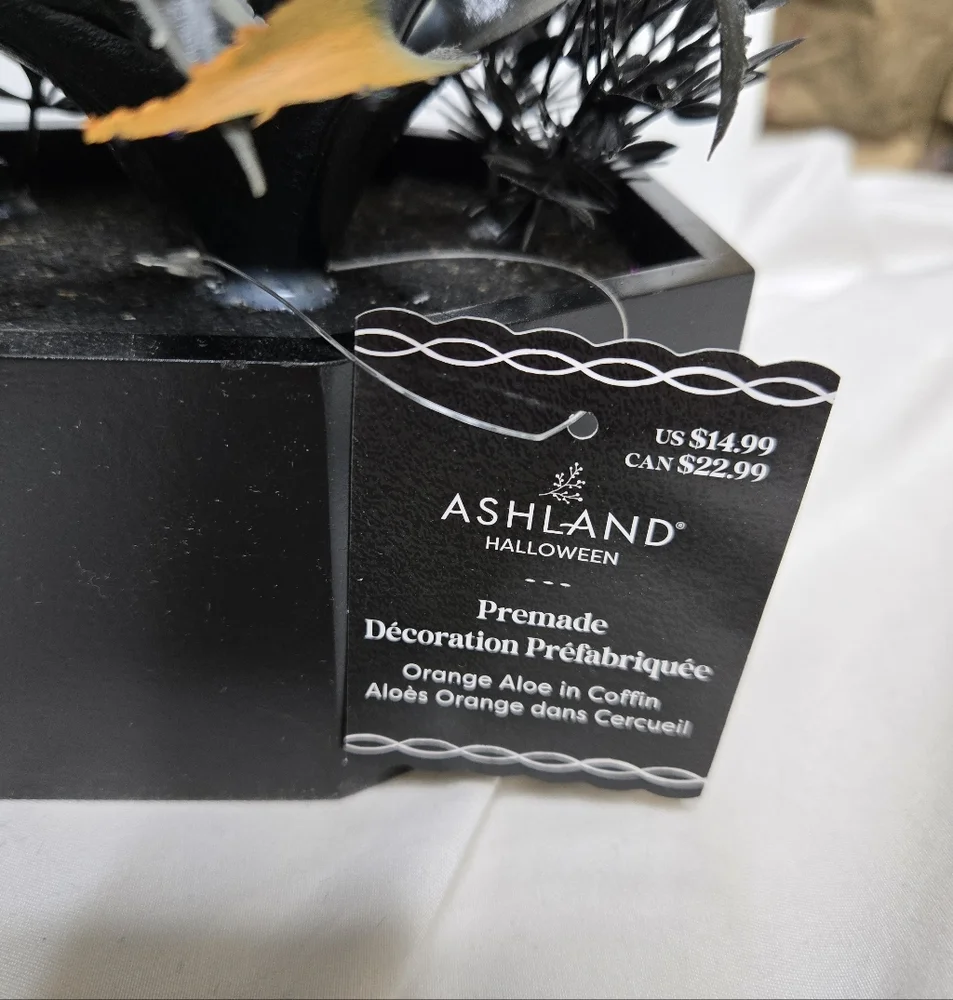 NEW Ashland Halloween premade goth succlents and flowers in‎ black coffin decor